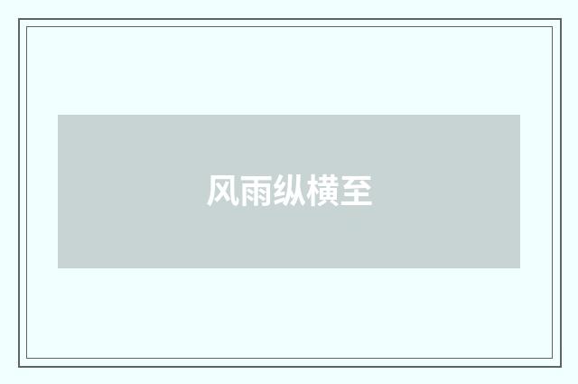 风雨纵横至
