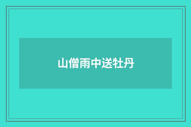 山僧雨中送牡丹