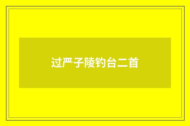 过严子陵钓台二首