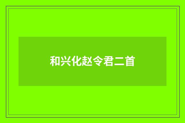 和兴化赵令君二首