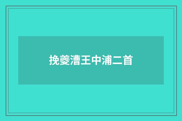 挽夔漕王中浦二首