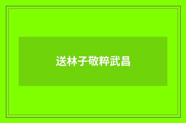 送林子敬粹武昌