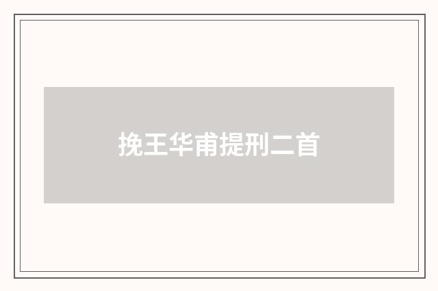 挽王华甫提刑二首