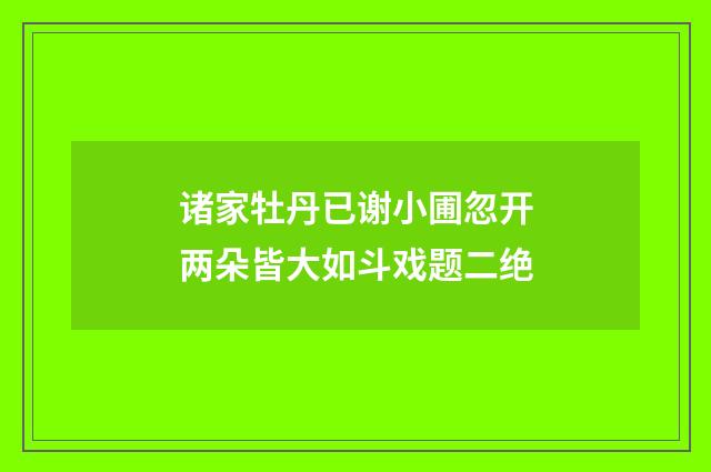 诸家牡丹已谢小圃忽开两朵皆大如斗戏题二绝