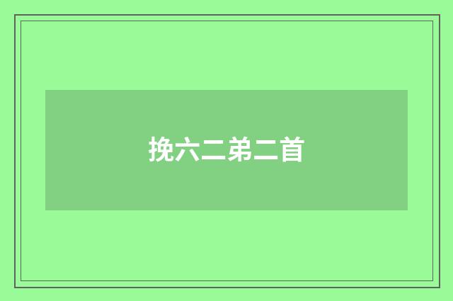 挽六二弟二首
