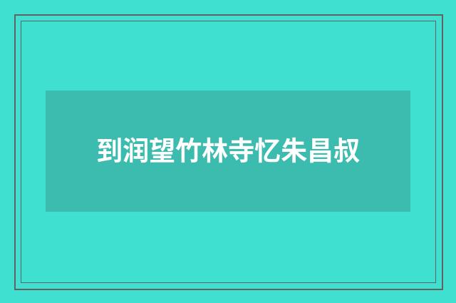到润望竹林寺忆朱昌叔