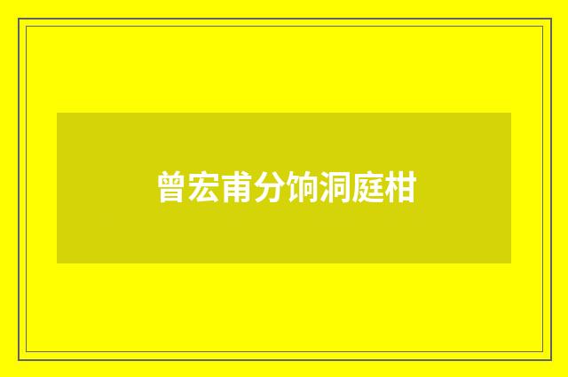 曾宏甫分饷洞庭柑