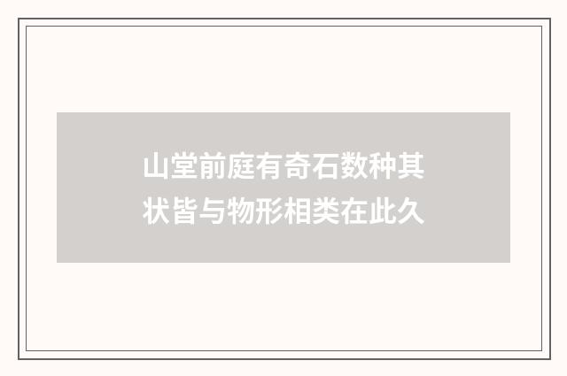 山堂前庭有奇石数种其状皆与物形相类在此久