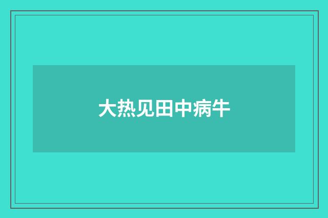 大热见田中病牛