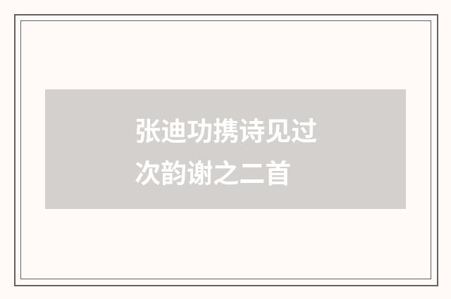 张迪功携诗见过次韵谢之二首