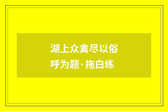 湖上众禽尽以俗呼为题·拖白练