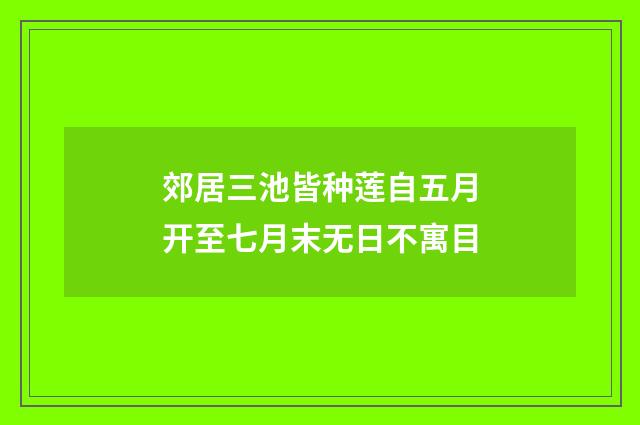 郊居三池皆种莲自五月开至七月末无日不寓目