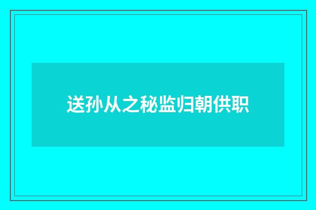 送孙从之秘监归朝供职