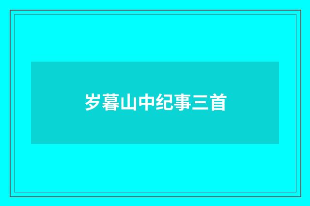 岁暮山中纪事三首