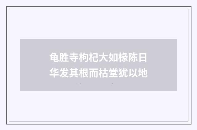 龟胜寺枸杞大如椽陈日华发其根而枯堂犹以地