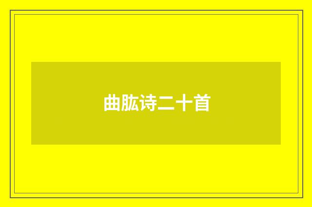 曲肱诗二十首