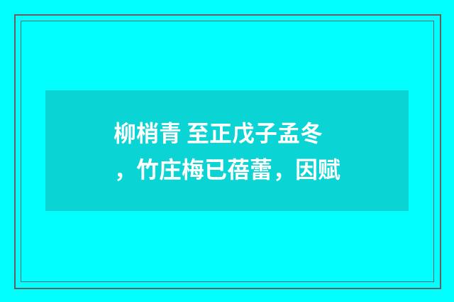 柳梢青 至正戊子孟冬，竹庄梅已蓓蕾，因赋