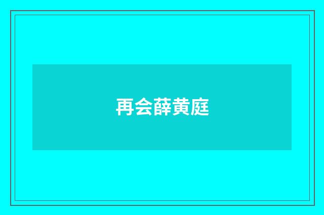 再会薛黄庭