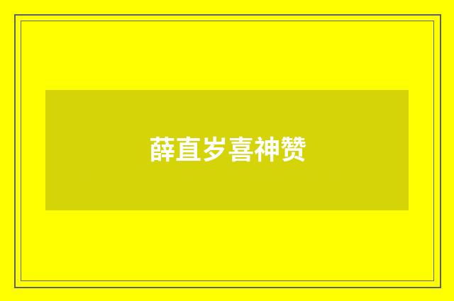 薛直岁喜神赞