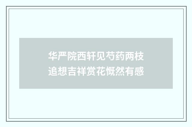 华严院西轩见芍药两枝追想吉祥赏花慨然有感