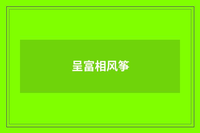 呈富相风筝