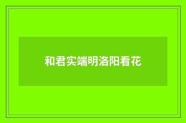 和君实端明洛阳看花