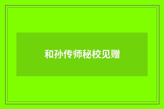 和孙传师秘校见赠