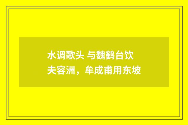 水调歌头 与魏鹤台饮夫容洲，牟成甫用东坡
