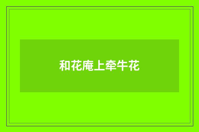 和花庵上牵牛花