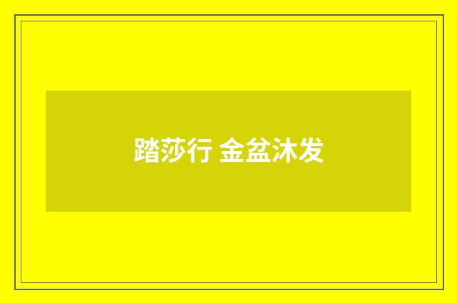 踏莎行 金盆沐发