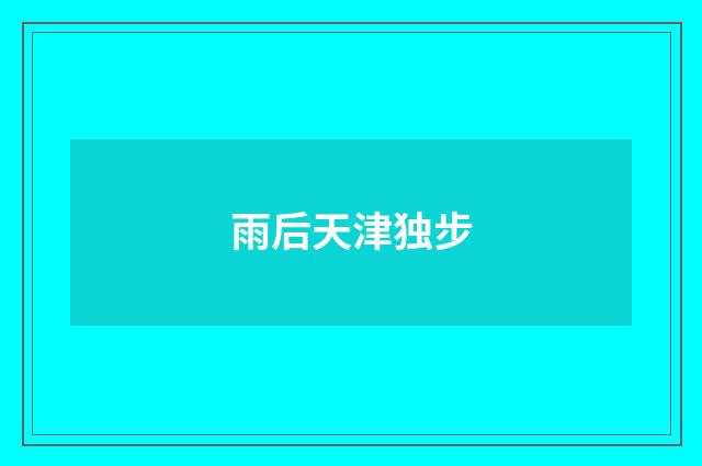 雨后天津独步