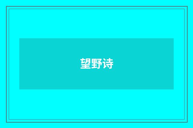 望野诗