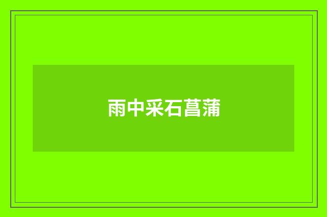 雨中采石菖蒲