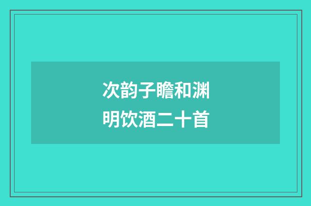 次韵子瞻和渊明饮酒二十首