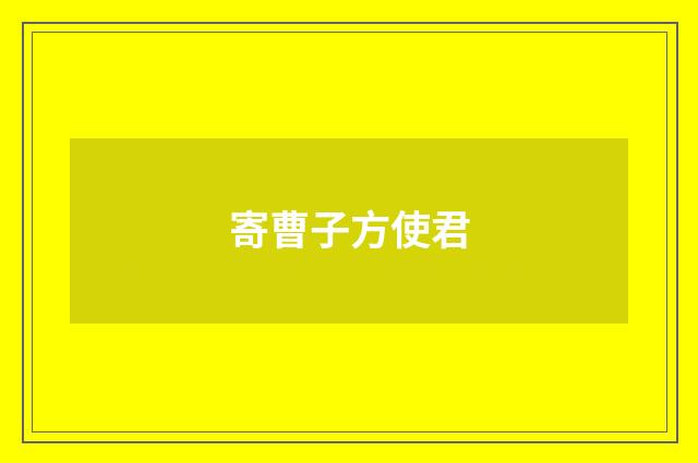 寄曹子方使君