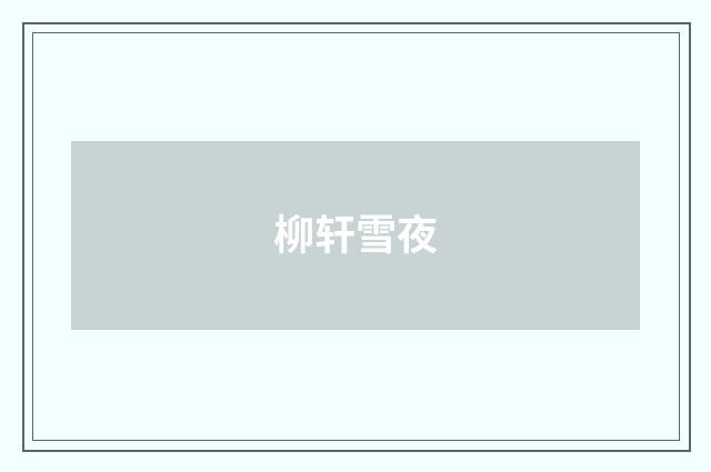 柳轩雪夜