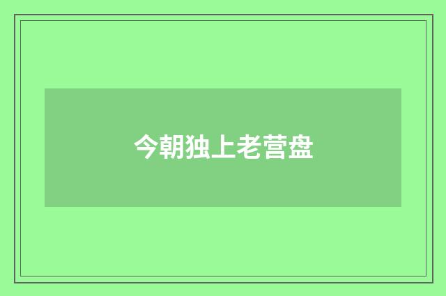 今朝独上老营盘