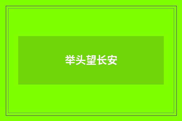 举头望长安