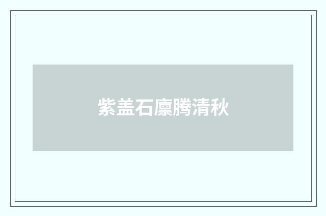 紫盖石廪腾清秋