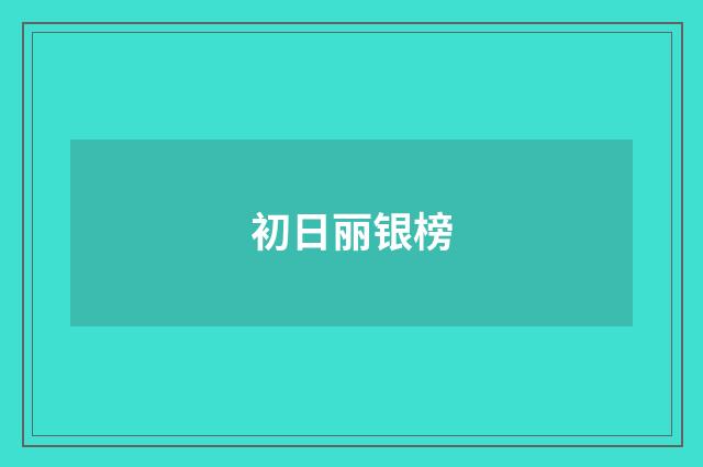 初日丽银榜
