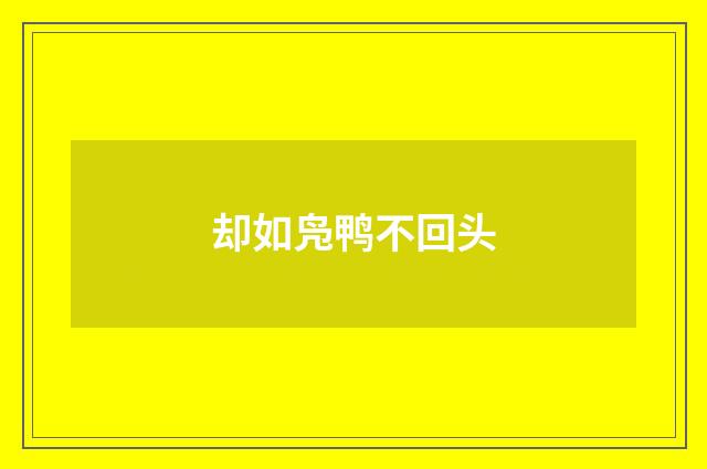 却如凫鸭不回头