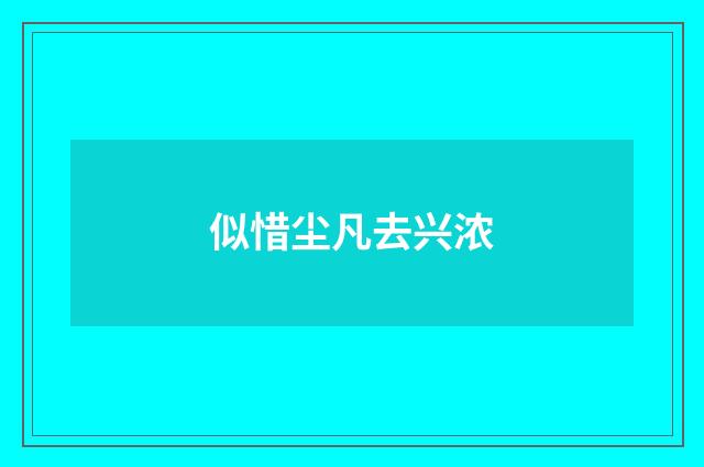 似惜尘凡去兴浓