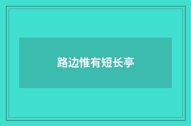 路边惟有短长亭
