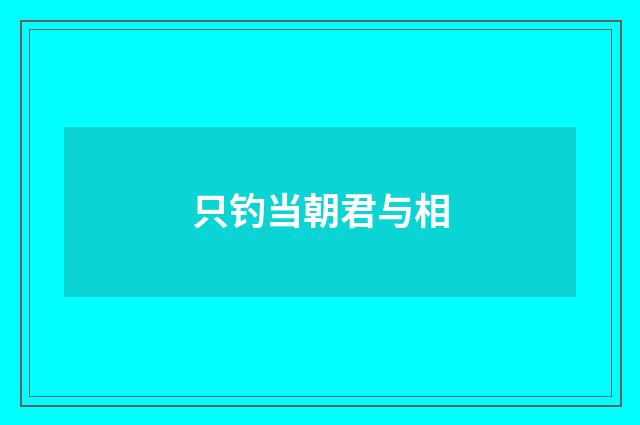 只钓当朝君与相