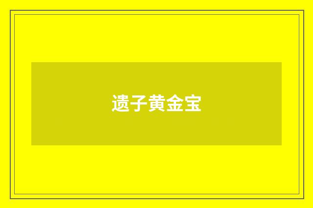 遗子黄金宝