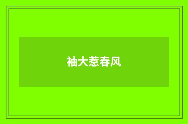 袖大惹春风