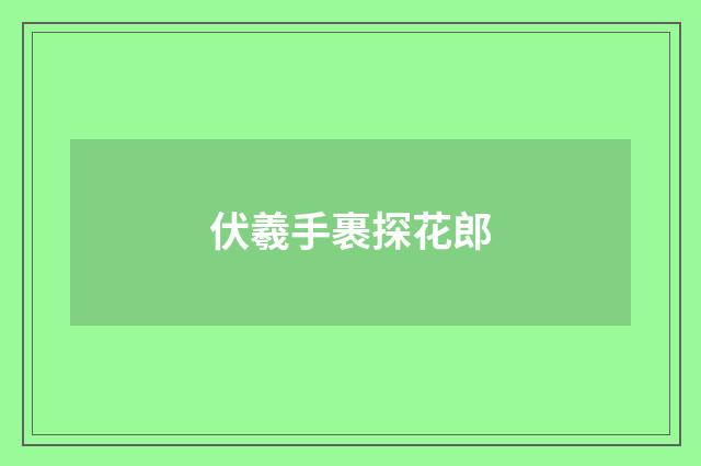 伏羲手裹探花郎