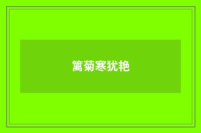 篱菊寒犹艳