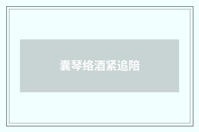 囊琴络酒紧追陪