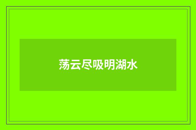 荡云尽吸明湖水